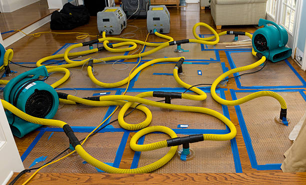 Professional Burst Pipe Water Damage technician working in Essex, MD